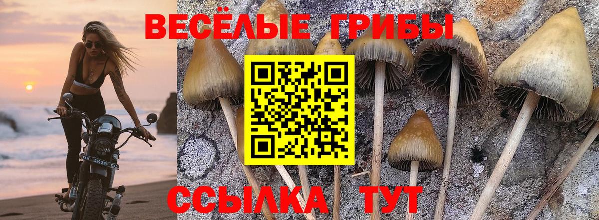Галлюциногенные грибы мухоморы  Вход с VPN  Еманжелинск 